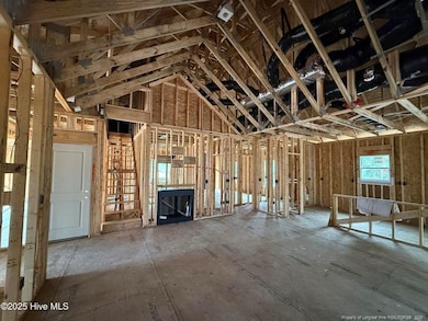 1017 Ivory Ln, West End, NC 27376 - photo 3