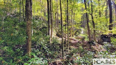 117 Speckled Feather Pass, Sapphire, NC 28774 - photo 6