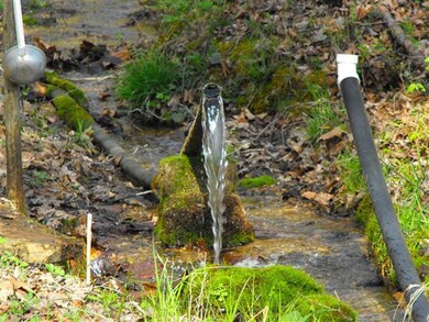 1906 Dancer Branch Rd, Stewart, TN 37175 - photo 4