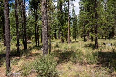 266 Sable Rock Loop-4