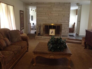 Two Fireplaces