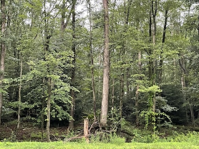 1 Lafayette Ave, Tamaqua, PA 18252 - photo 3