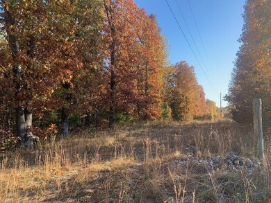 Tbd State Hwy 76, Shell Knob, MO 65747 - photo 3