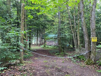 0 Fisherman S Bridge Rd unit S1636074, Williamstown, NY 13493 - photo 3