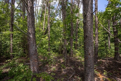 4.19 AC Leda Rd, Nathalie, VA 24577 - photo 5