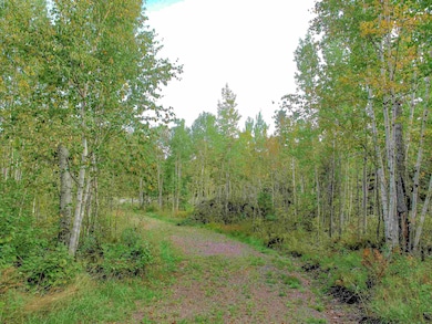 9223 Minnesota 61, Schroeder, MN 55613 - photo 2