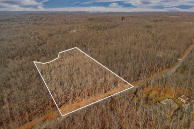 0 E Overlook Rd unit RTC3067659, Monterey, TN 38574 - photo 2