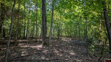 Lot 11 Riverbend Dr, Mammoth Spring, AR 72554 - photo 5