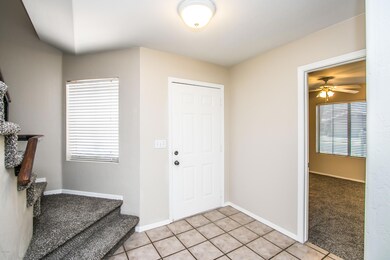 Lobo Ave-3