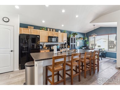 4507 Moose St, Johnstown, CO 80534 - photo 6