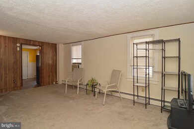 163 E Wyomissing Ave, Mohnton, PA 19540 - photo 3