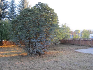 L130D2W Back yard