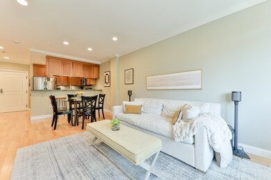 2 St Paul St unit 503, Brookline, MA 02446 - photo 5