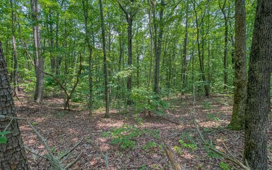 0 Wendy Hill Rd unit 327392, Ellijay, GA 30536 - photo 3