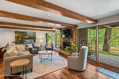 1034 E Cooper Ave unit 16A, Aspen, CO 81611 - photo 6