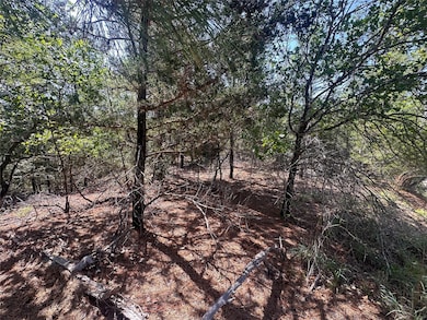 TBD Hula Ln, Bastrop, TX 78602 - photo 2