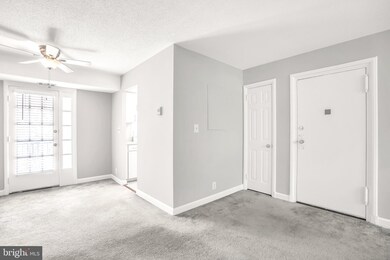 2932 S Columbus St unit B1, Arlington, VA 22206 - photo 5