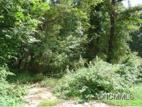 99999 Caribou Rd, Asheville, NC 28803 - photo 2