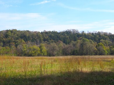 farm for sale in mammoth spring arkansas