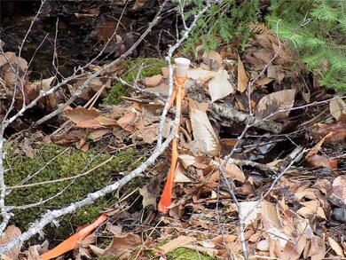 Here's the corner marker. Lot has...