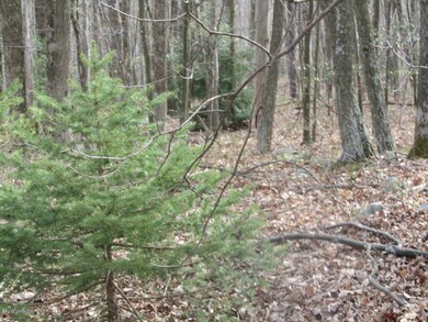 0 W 13 Th St, Jim Thorpe, PA 18229 - photo 2