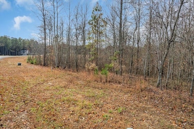 0 Crockett Point unit RTC3061405, Jasper, TN 37347 - photo 5