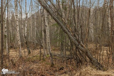 Ground View to Property
