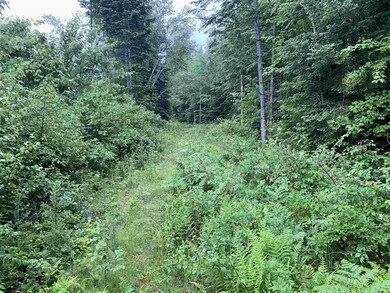 Route 3 Hwy, Columbia, NH 03576 - photo 4