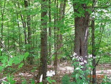 00 Old Swanzey, Chesterfield, NH 03443 - photo 3