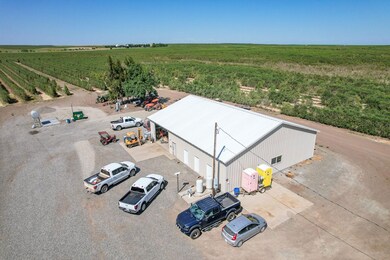 32358 County Road 19, Woodland, CA 95695 - photo 6