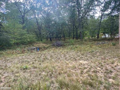 00 Port Austin Rd, Caseville, MI 48725 - photo 2