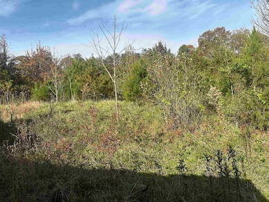 1948 Few Chapel Rd, Greer, SC 29651 - photo 2