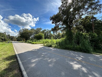 24603 Doe Trail, Magnolia, TX 77355 - photo 5