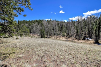 112 Blue Jay Ln, Divide, CO 80814 - photo 4