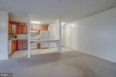 2125 Wainwright Ct unit BA, Frederick, MD 21702 - photo 7