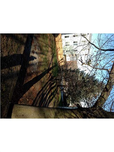 Yard/Garden.