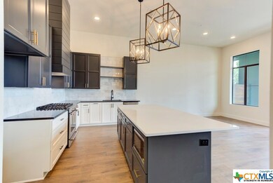 1265 N Academy Ave unit 1201, New Braunfels, TX 78130 - photo 4