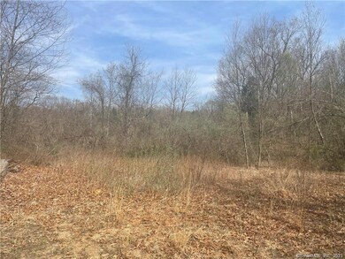 00 Old Mill Rd, Wilton, CT 06897 - photo 6