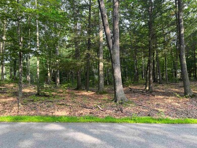 00 Pond Brook Rd unit 14, Chesterfield, NH 03466 - photo 2