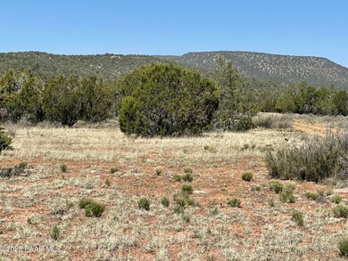 31767 W Rancho Vista Ln, Seligman, AZ 86337 - photo 3