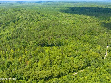 DJI_20240711113748_0701_D