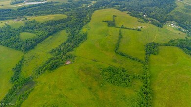 0 Piney Fork Rd, Dillonvale, OH 43917 - photo 4