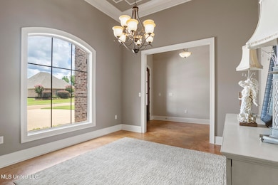 111 Meadow Pointe Cove-2