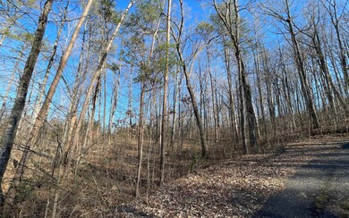 Additional View