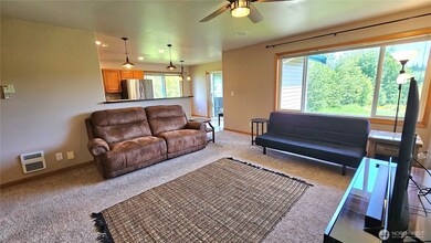 Lots of open daylight and views of greenspaces