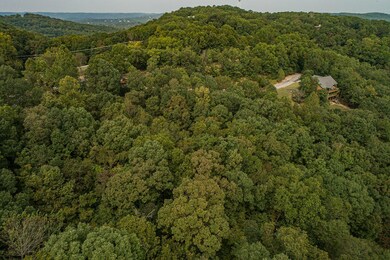 9 Fox Fire Knoll Dr, Kimberling City, MO 65686 - photo 3