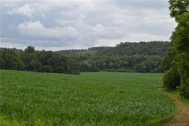 000 Ford Farm Rd, Sharpesburg, NC 28625 - photo 3