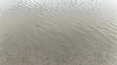 27762 Leef Rd, Webster, WI 54893 - photo 7