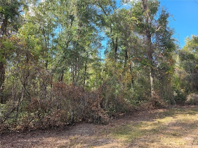 TBD NE 111th Ave, Archer, FL 32618 - photo 7