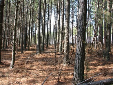 HiPntLn79_fron 1 acre near st_3